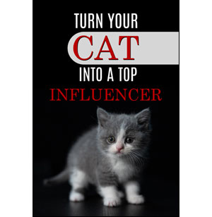 Turn Your Cat Into a Top Influencer